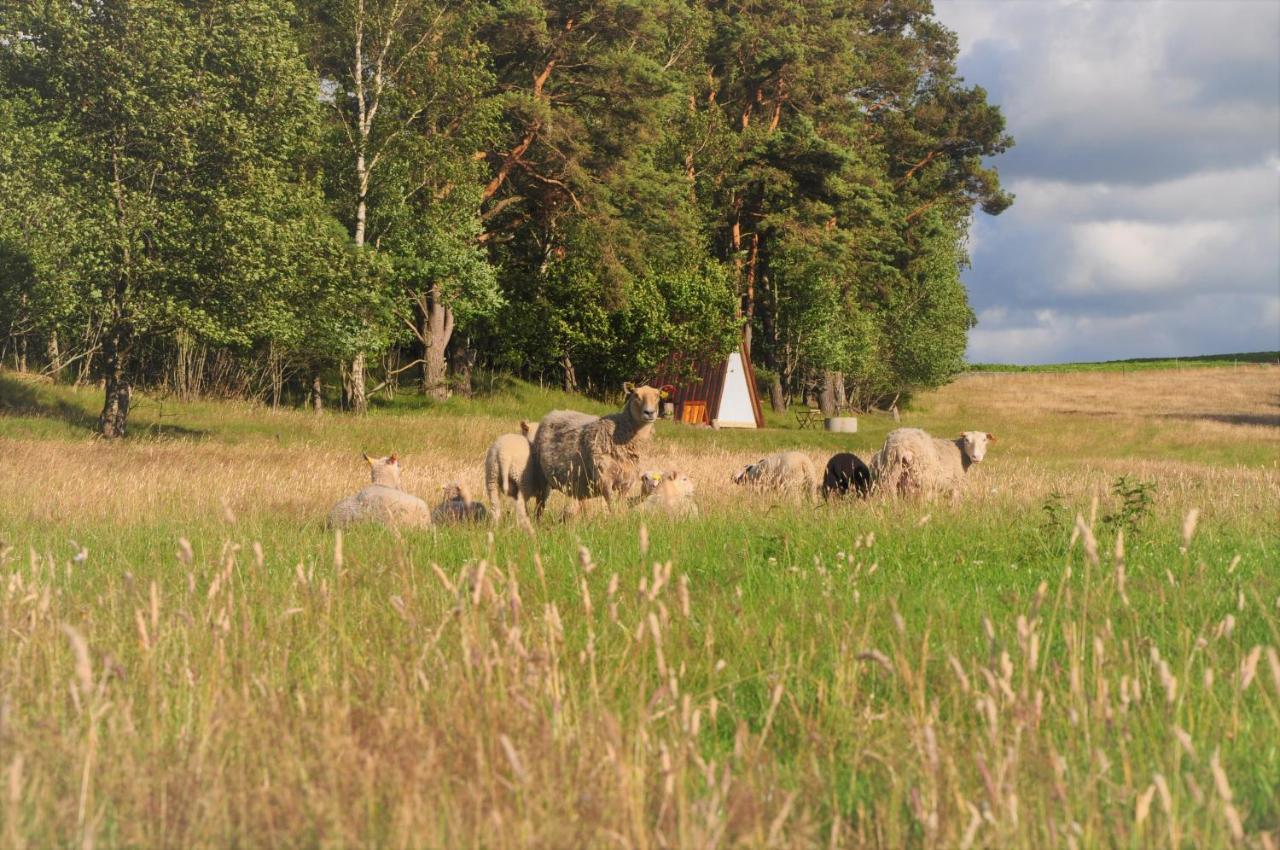 Sandfallet Glamping Laholm Exteriér fotografie